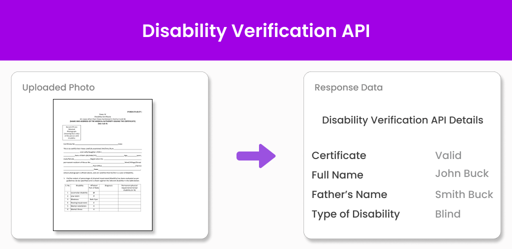 disability verification api disability verification api