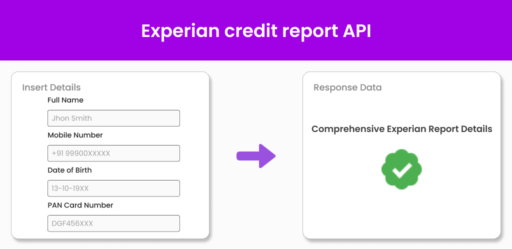 Frame 50 1 Experian Credit report api