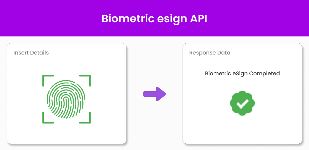Biometric esign API Rectangle Image