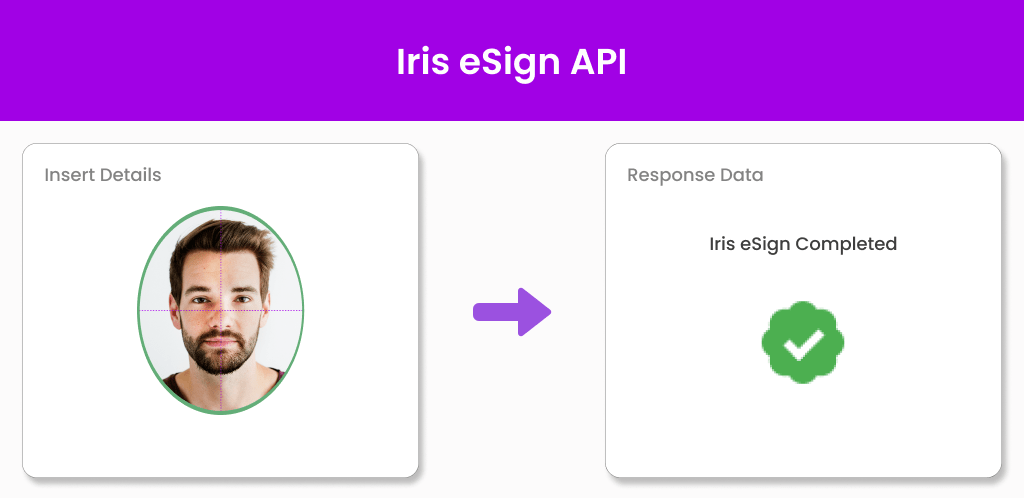 Iris eSign API Rectangle Image Iris eSign API