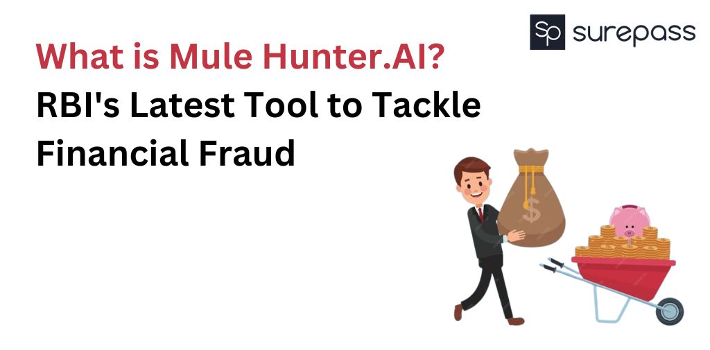 Mule Detection